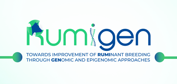 Rumigen logo